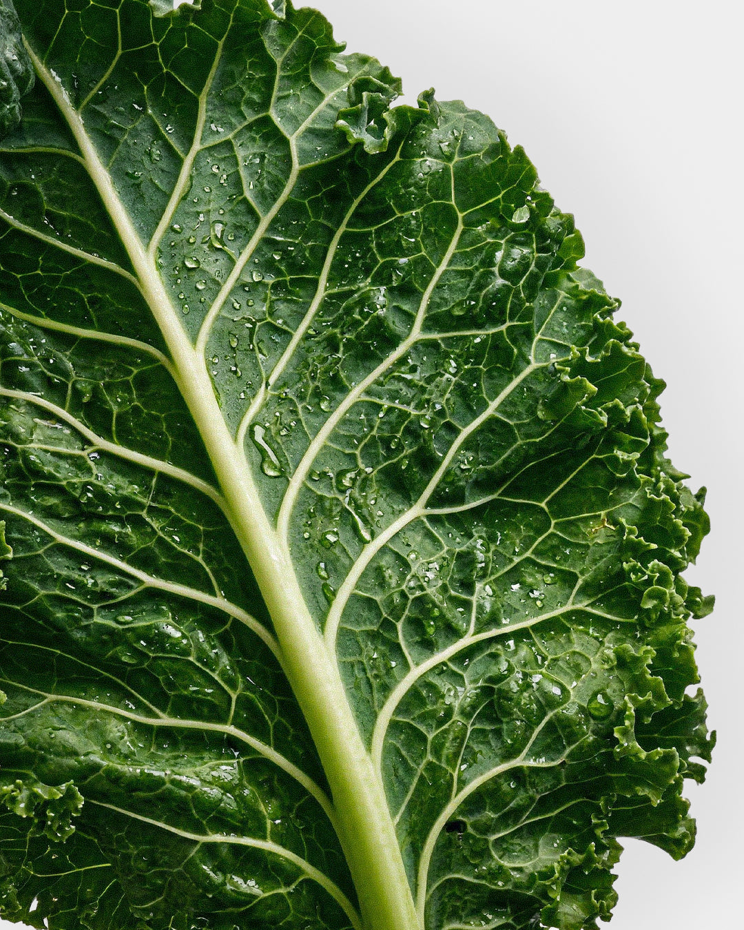 Kale